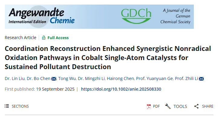 我校化学化工学院在单原子催化有机污染物降解方面取得新进展